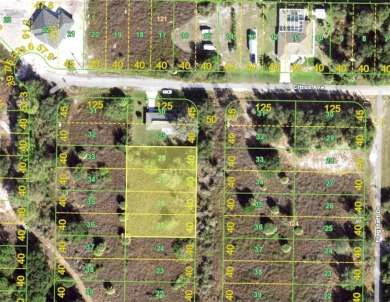 Beach Lot For Sale in Punta Gorda, Florida