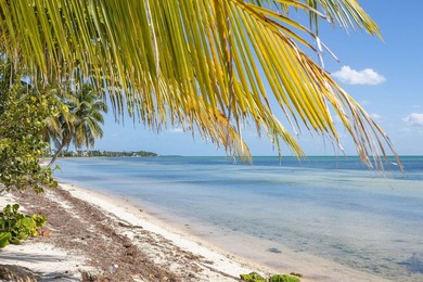 Beach Home For Sale in Lower Matecumbe Key, Florida