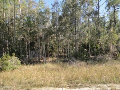 Beach Lot For Sale in Lehigh Acres, Florida