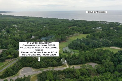 Beach Lot For Sale in Carabelle, Florida