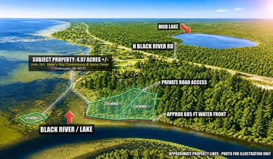 Beach Acreage For Sale in Cheboygan, Michigan