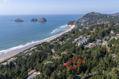 Beach Lot For Sale in Oceanside, Oregon