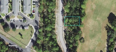 Beach Lot For Sale in Carabelle, Florida