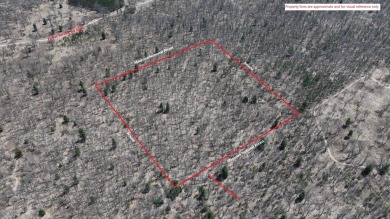 Beach Acreage For Sale in Free Soil, Michigan