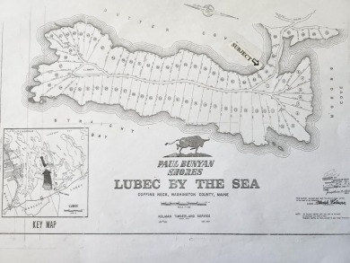 Beach Acreage For Sale in Lubec, Maine
