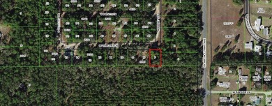 Beach Lot For Sale in Crystal River, Florida