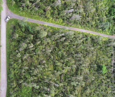 Beach Acreage For Sale in Kurtistown, Hawaii