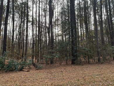 Beach Lot For Sale in Heathsville, Virginia