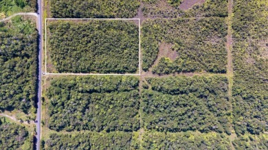 Beach Acreage For Sale in Volcano, Hawaii