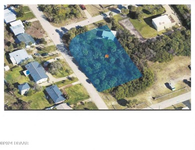 Beach Commercial For Sale in Daytona Beach Shores, Florida