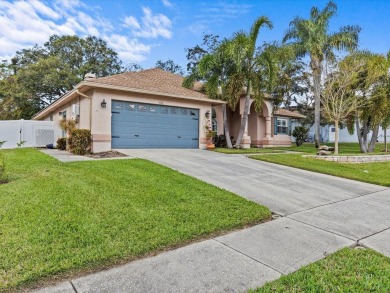 Beach Home For Sale in Tarpon Springs, Florida