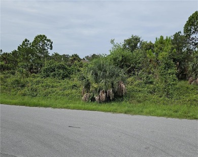 Beach Lot For Sale in Port Charlotte, Florida