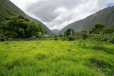 Beach Acreage For Sale in Honokaa, Hawaii