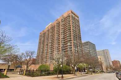 Beach Condo For Sale in Chicago, Illinois