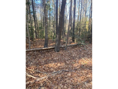 Beach Lot For Sale in Heathsville, Virginia