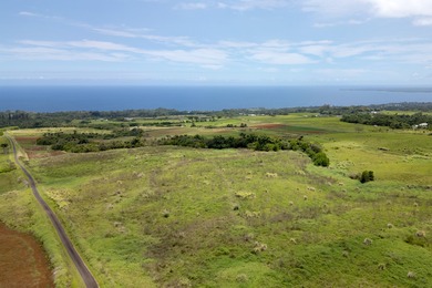 Beach Acreage For Sale in Pepeekeo, Hawaii