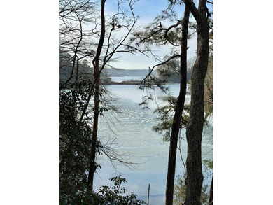Beach Lot For Sale in Burgess, Virginia