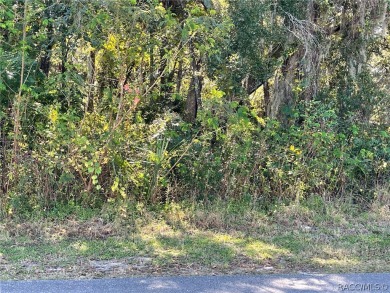 Beach Lot For Sale in Crystal River, Florida