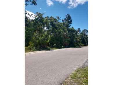 Beach Lot For Sale in Port Charlotte, Florida