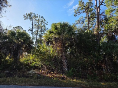 Beach Lot For Sale in Punta Gorda, Florida