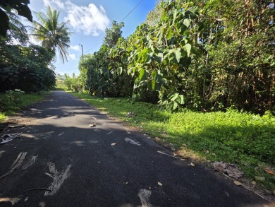 Beach Lot For Sale in Pahoa, Hawaii