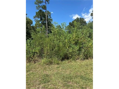 Beach Lot For Sale in Slidell, Louisiana