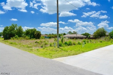 Beach Lot For Sale in Lehigh Acres, Florida