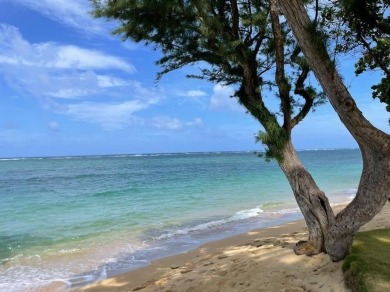 Beach Condo For Sale in Hauula, Hawaii