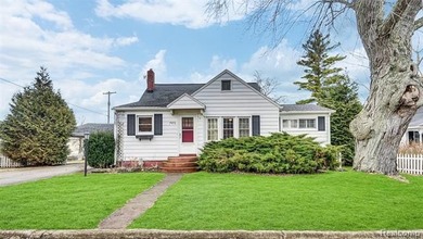 Beach Home For Sale in Forestville, Michigan