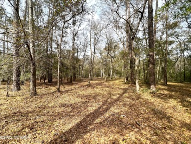 Beach Lot Off Market in Supply, North Carolina