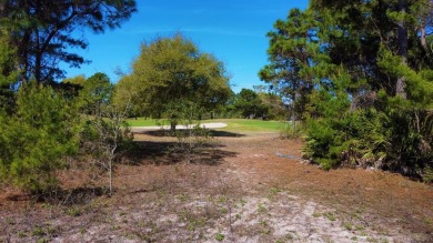 Beach Lot For Sale in Carabelle, Florida