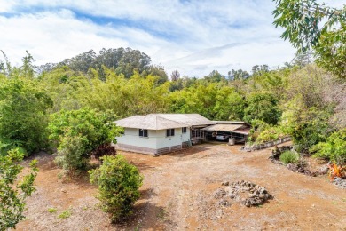 Beach Home For Sale in Honokaa, Hawaii