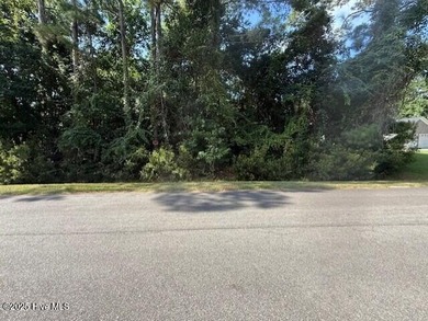 Beach Lot For Sale in Hampstead, North Carolina
