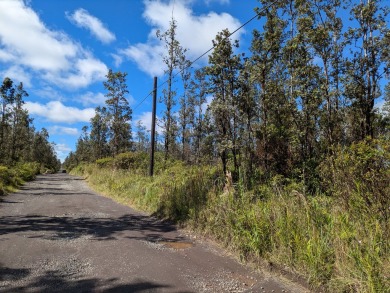 Beach Acreage For Sale in Mountain View, Hawaii