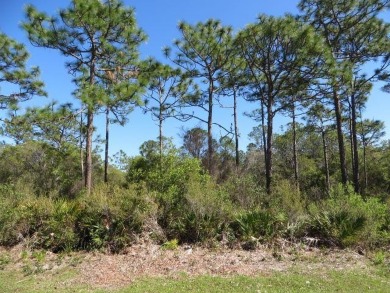 Beach Acreage For Sale in Carabelle, Florida