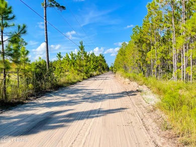 Beach Acreage For Sale in Ormond Beach, Florida