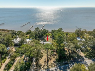 Beach Home For Sale in Apalachicola, Florida