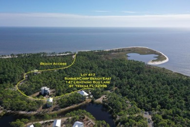 Beach Lot For Sale in Sopchoppy, Florida