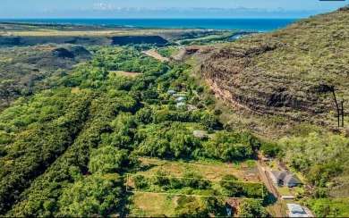 Beach Lot For Sale in Waimea, Hawaii