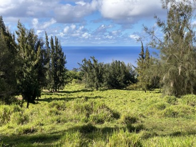 Beach Acreage Active Under Contract in Honokaa, Hawaii