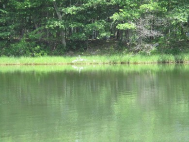 Beach Acreage For Sale in Brunswick, Maine