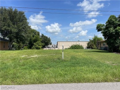 Beach Lot For Sale in Cape Coral, Florida