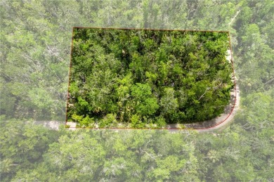 Beach Lot Off Market in Homosassa, Florida