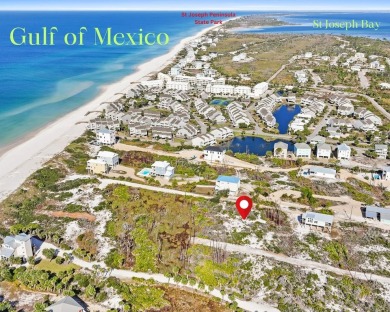 Beach Lot For Sale in Cape San Blas, Florida