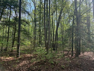 Beach Lot For Sale in Heathsville, Virginia