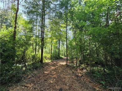 Beach Acreage Sale Pending in Barker, New York