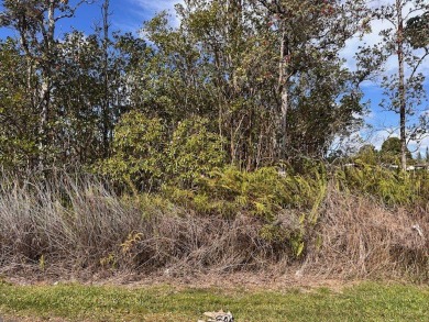 Beach Lot Active Under Contract in Pahoa, Hawaii
