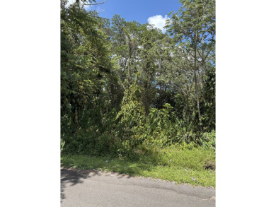 Beach Lot For Sale in Pahoa, Hawaii