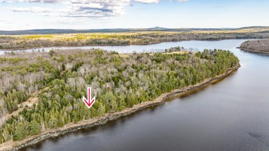Beach Acreage For Sale in Orland, Maine