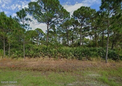 Beach Lot For Sale in Grant, Florida